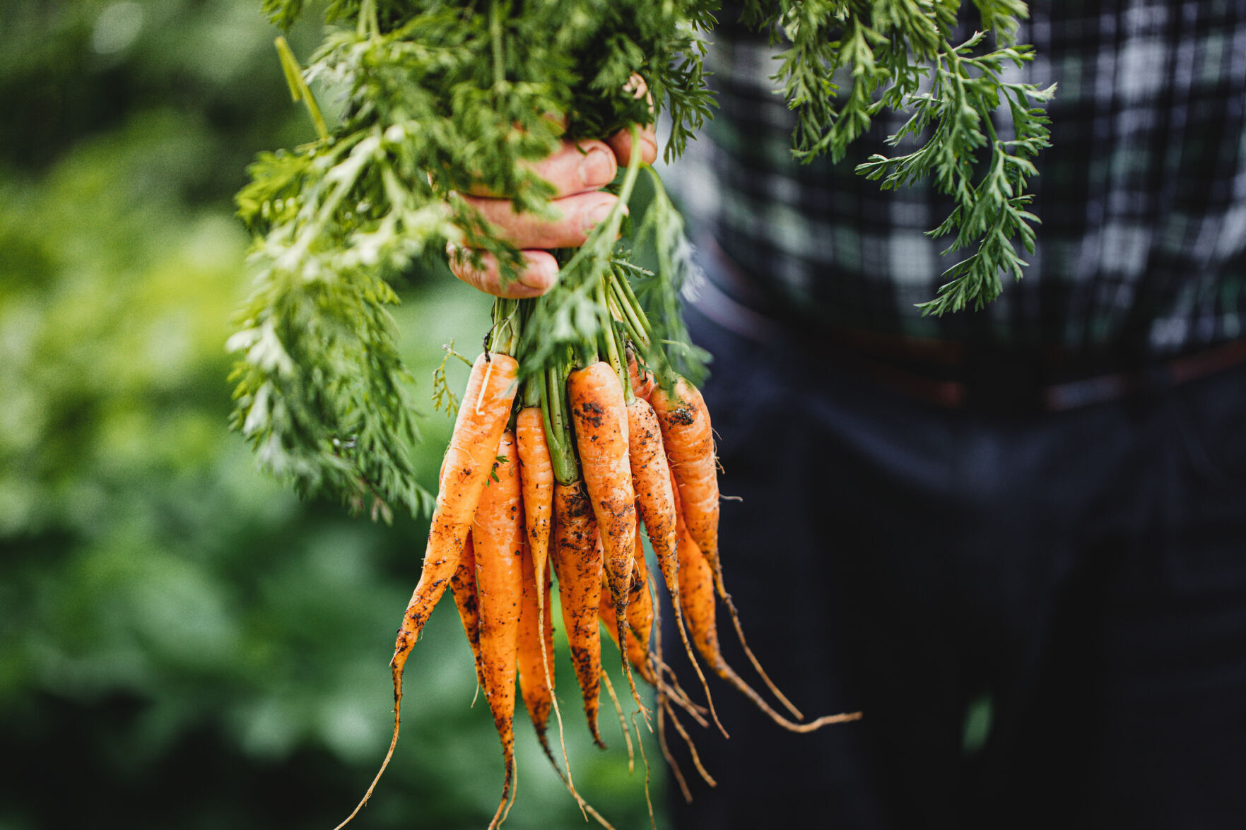 Hungry Harvest | Stock Img4 Getty